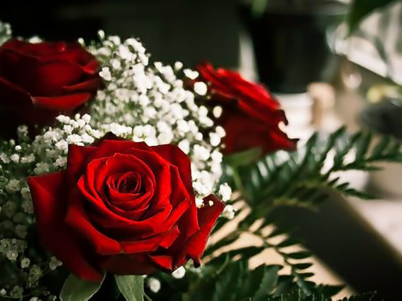 Red Roses and Baby's Breath