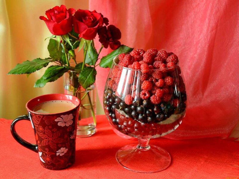 Red Roses and Berries — Calm, Morning