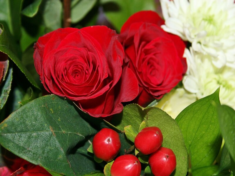 Red Roses and Berries — Calm