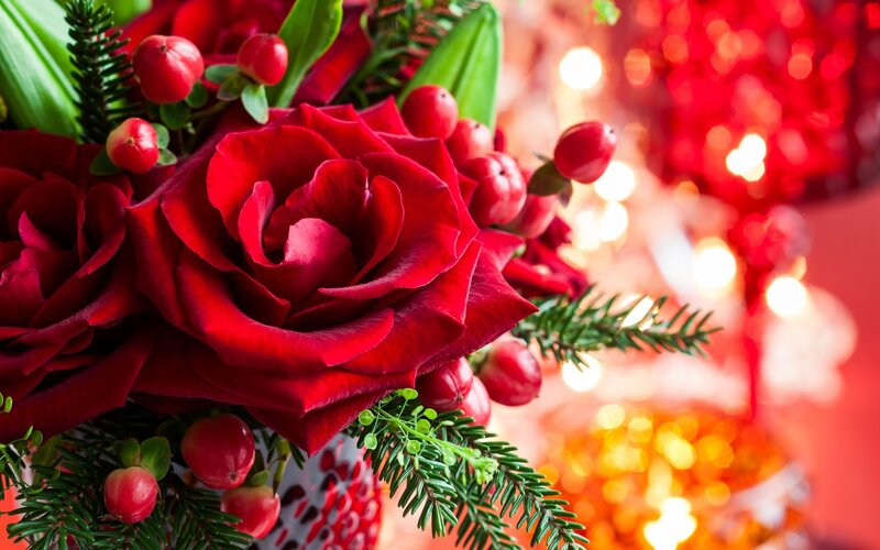 Red Roses and Berries — Festive