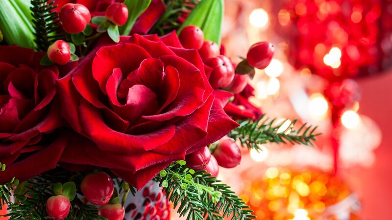 Red Roses and Berries — Festive, Winter