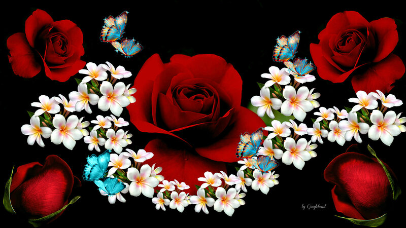 Red Roses and Butterflies — Dramatic, Digital Art