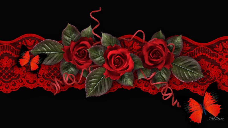 Red Roses and Butterflies — Dramatic