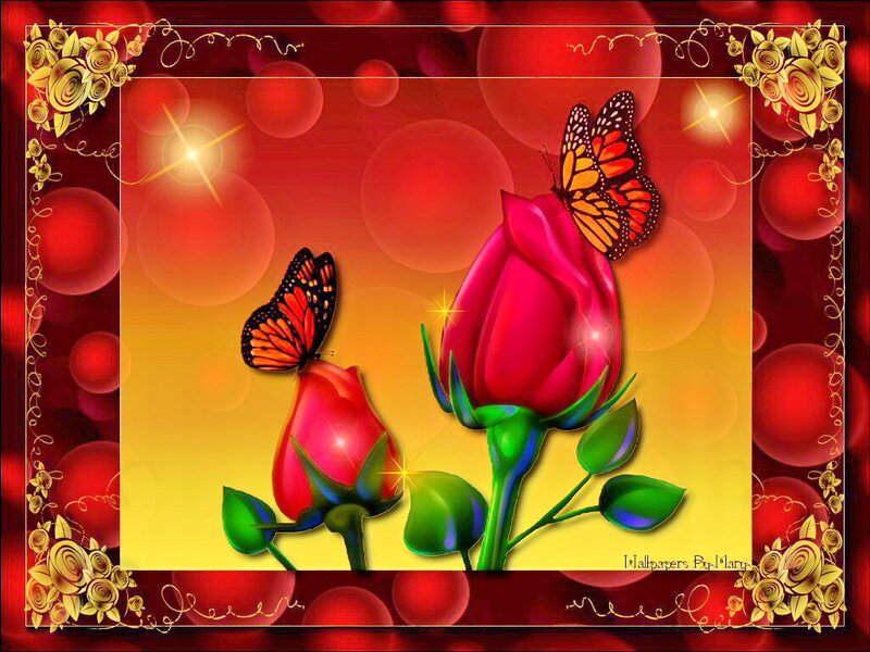Red Roses and Butterflies — Romantic