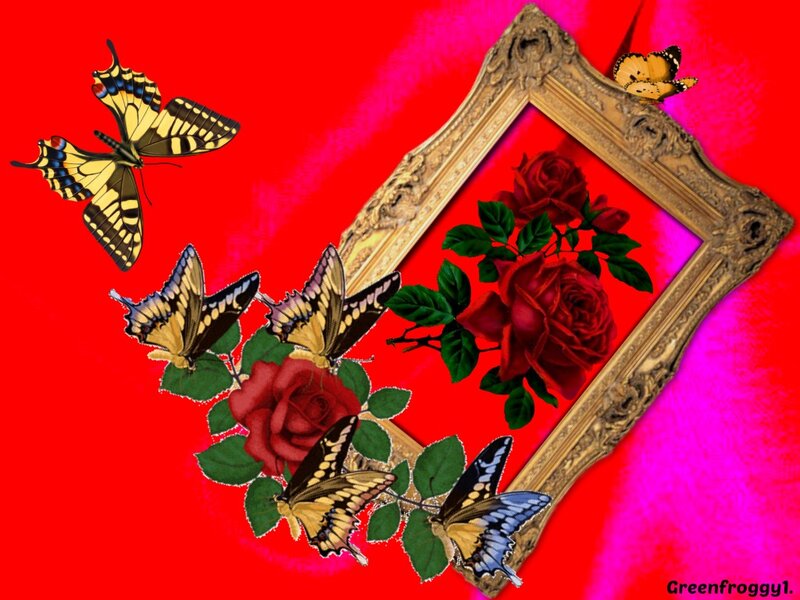 Red Roses and Butterflies — Vibrant