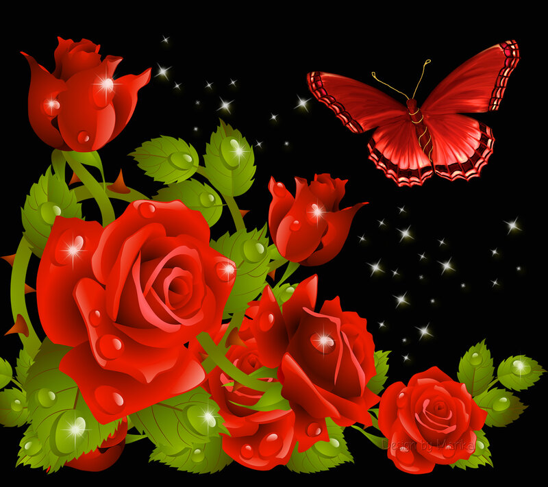 Red Roses and Butterfly — Dramatic, Night