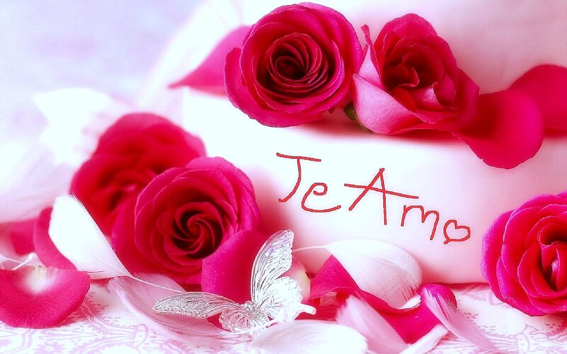 Red Roses and Butterfly — Pink