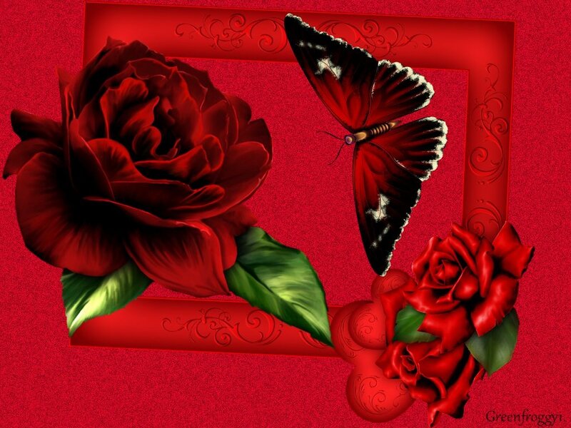 Red Roses and Butterfly — Romantic