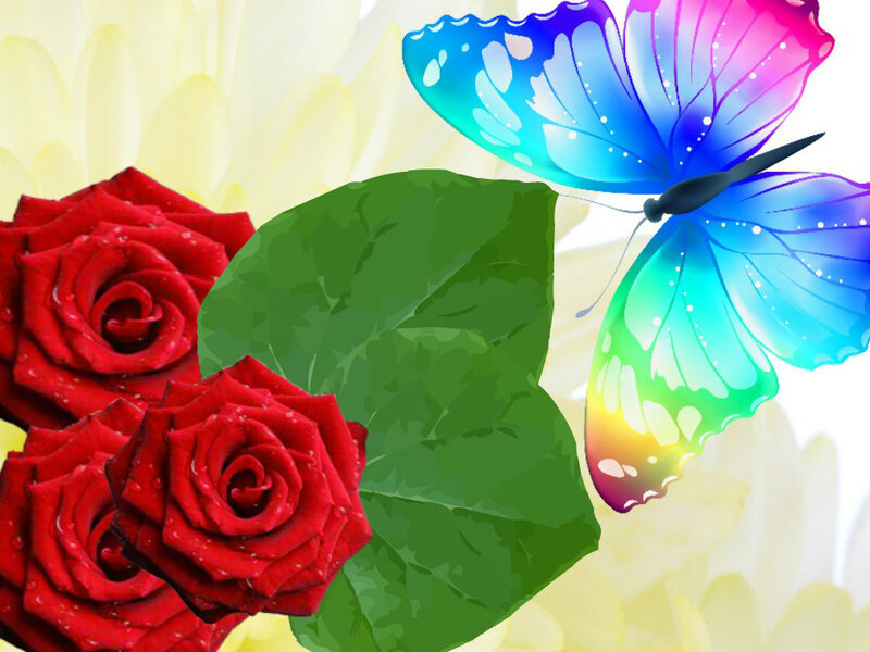 Red Roses and Butterfly — Serene