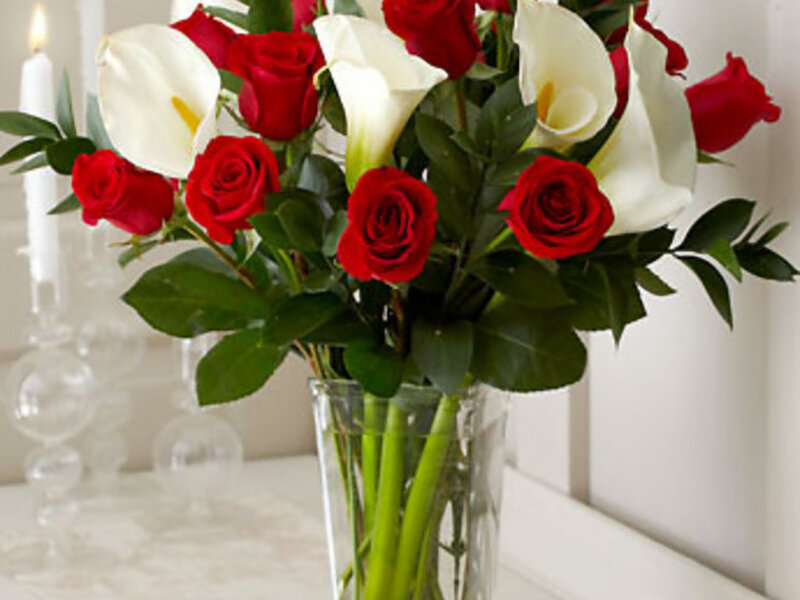 Red Roses and Calla Lilies — Calm