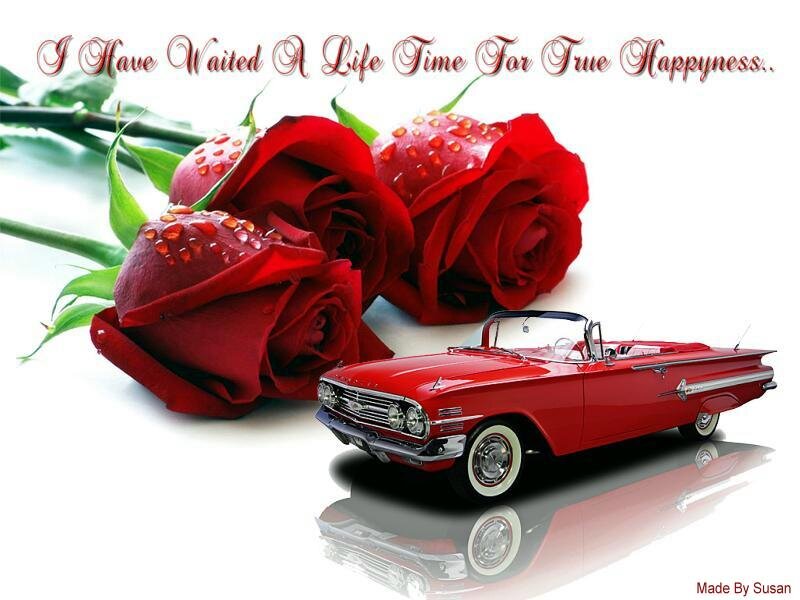 Red Roses and Car