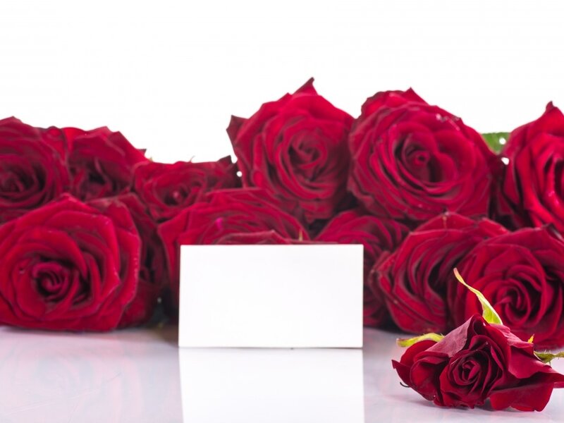 Red Roses and Card — Calm, Photograph