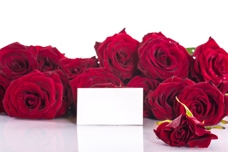 Red Roses and Card — Calm