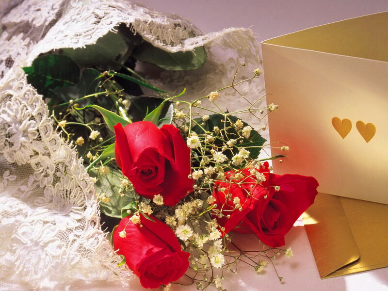 Red Roses and Card — Romantic
