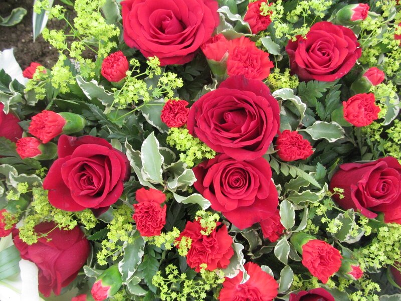 Red Roses and Carnations — Calm, Photograph