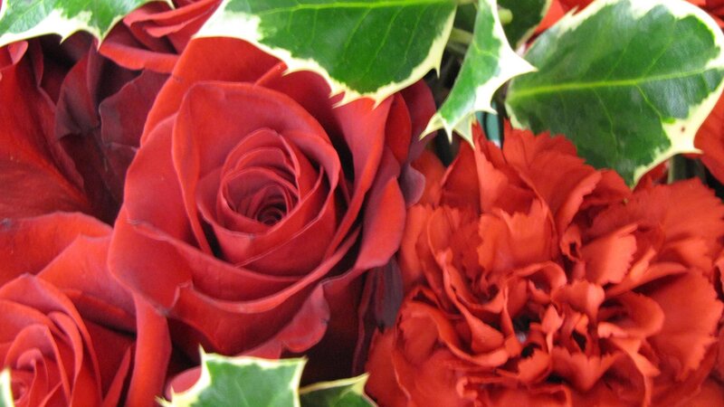 Red Roses and Carnations — Calm
