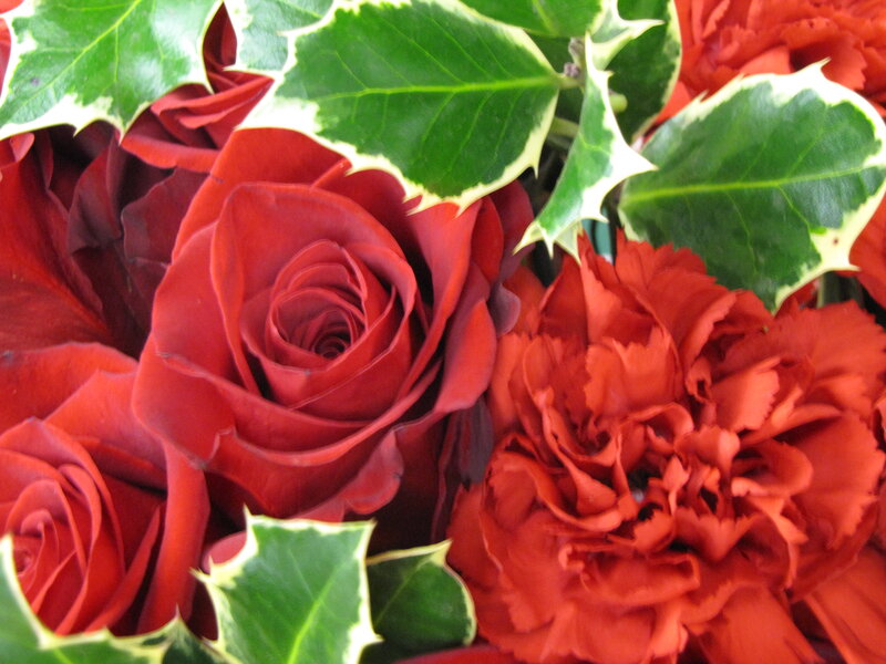 Red Roses and Carnations — Festive