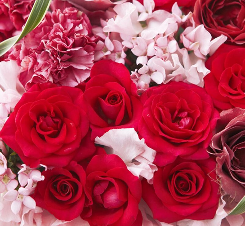 Red Roses and Carnations — Romantic