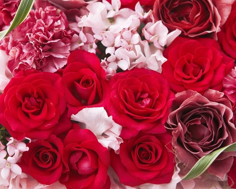 Red Roses and Carnations
