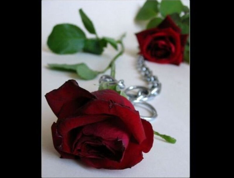 Red Roses and Chain