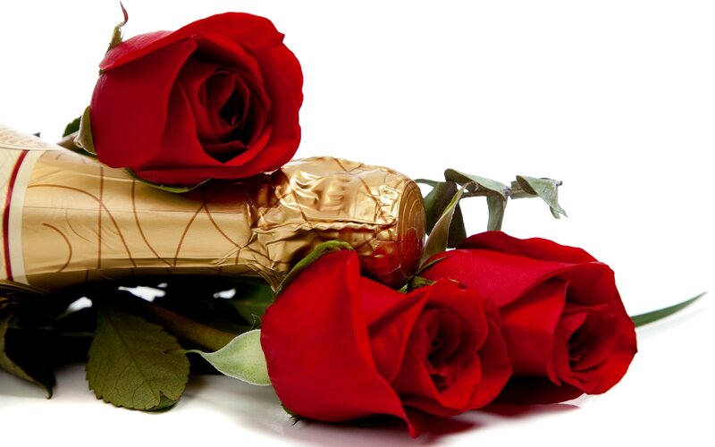 Red roses and champagne bottle