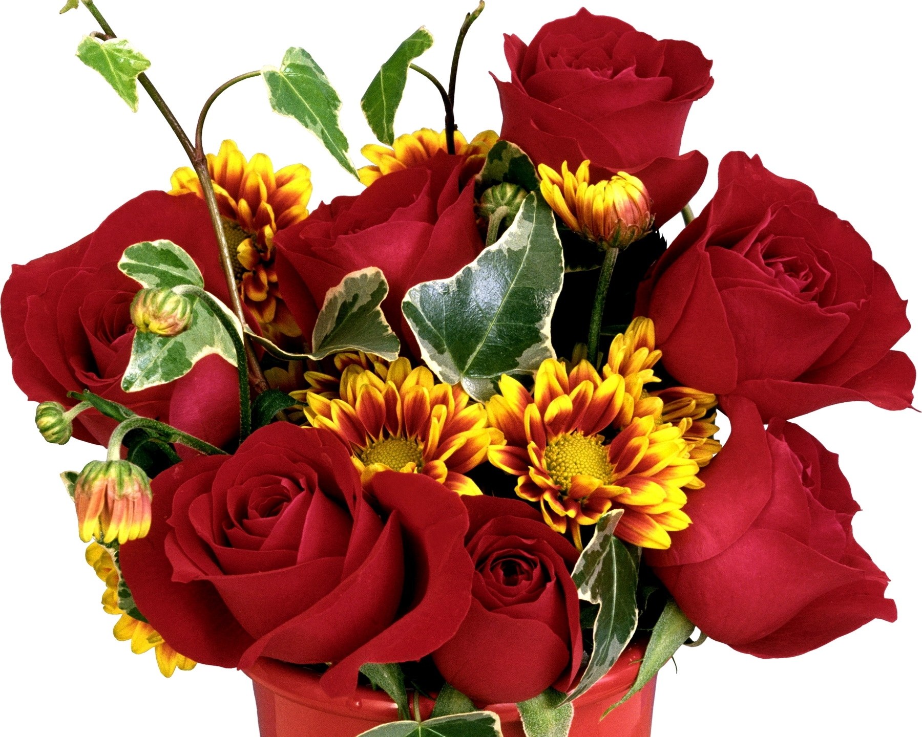 red roses and chrysanthemums