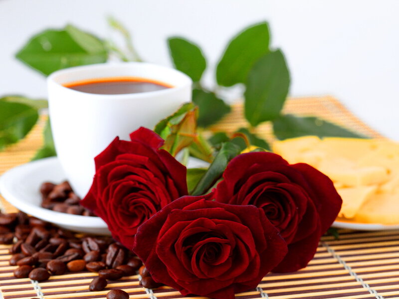 Red Roses and Coffee — Calm