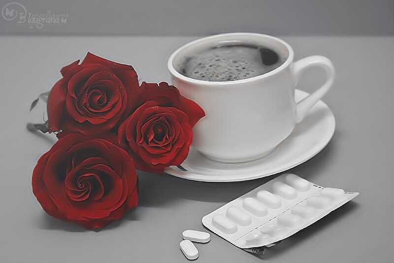 Red Roses and Coffee Cup — Calm