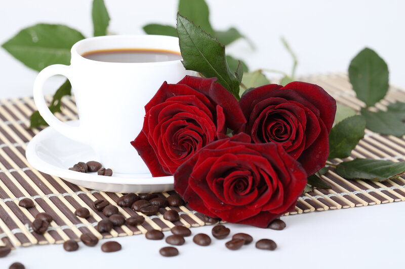 Red Roses and Coffee Cup