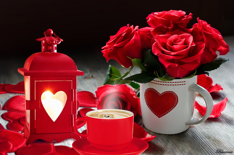 Red Roses and Coffee — Romantic