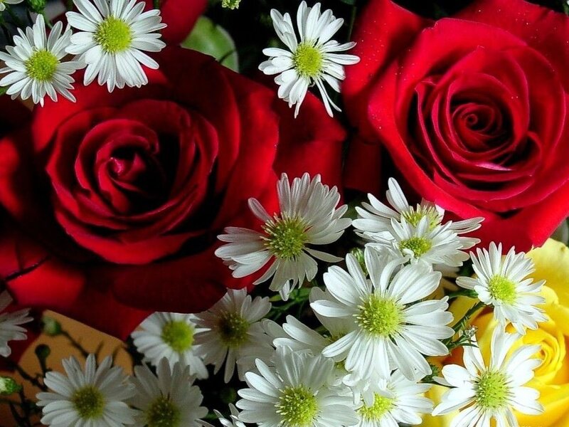 red roses and daisies bouquet