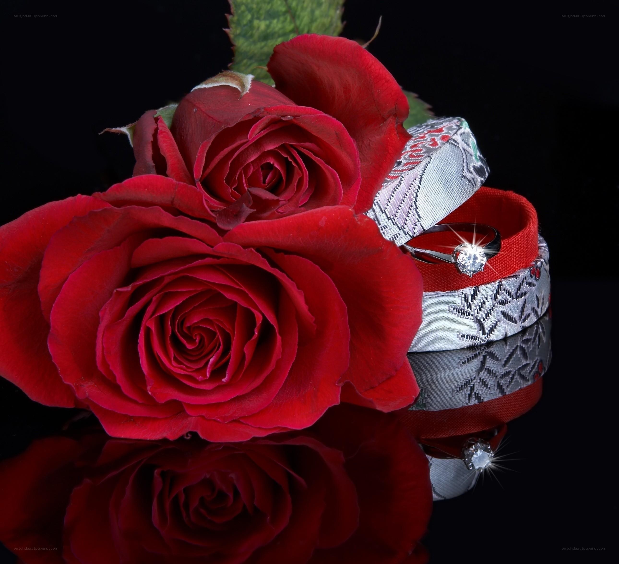 Red roses and diamond ring