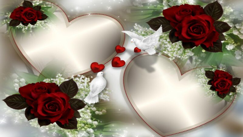 Red Roses and Doves — Romantic