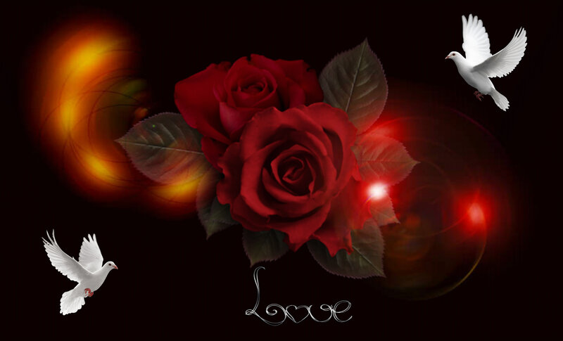 Red Roses and Doves