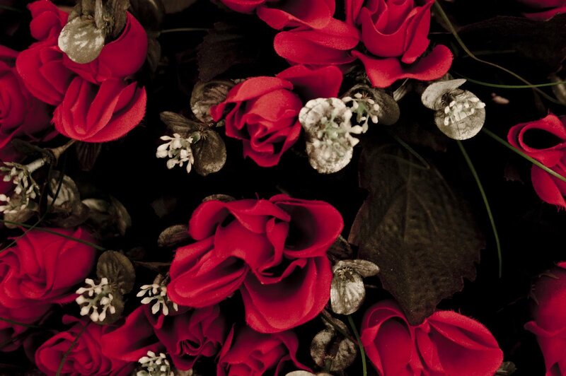 red roses and dried flowers
