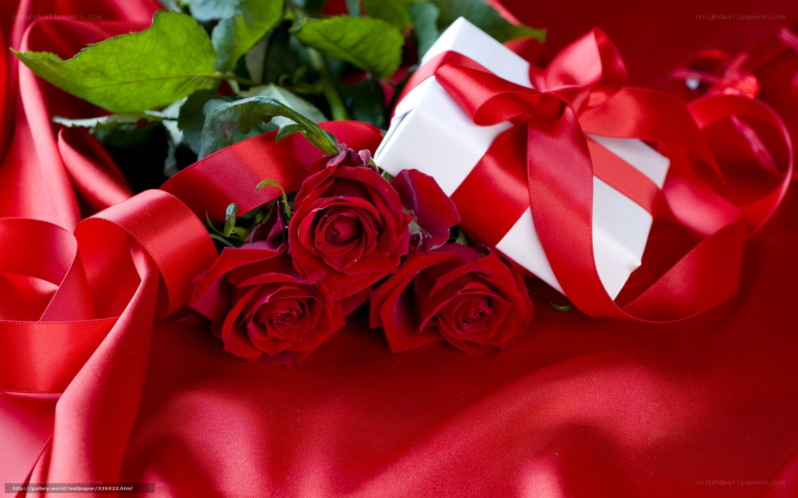 Red roses and gift box
