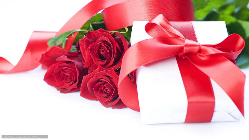 Red roses and gift box