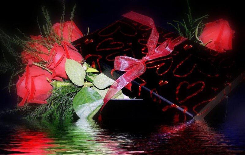 Red Roses and Gift Box — Romantic, Night
