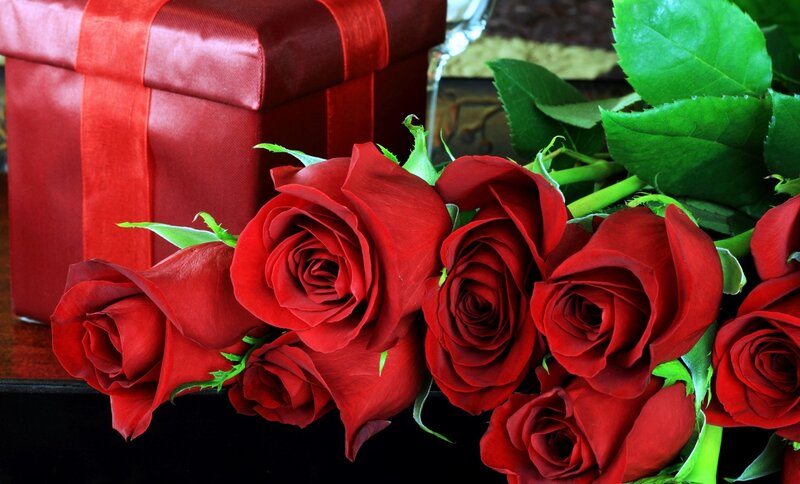 Red Roses and Gift Box — Romantic, Photograph, Gift Box, Green Leaves