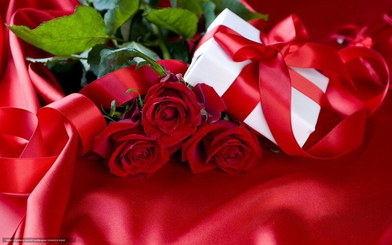 Red Roses and Gift Box — Romantic, Photograph, Gift Box, Ribbon, Silk Fabric