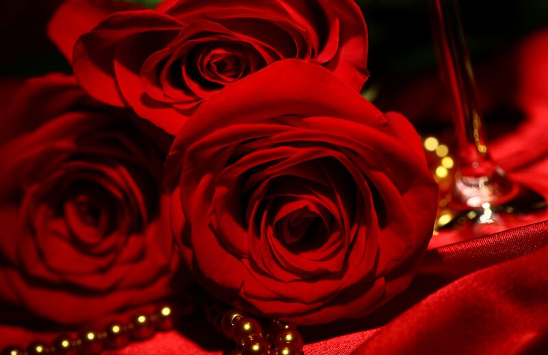 Red Roses and Glass
