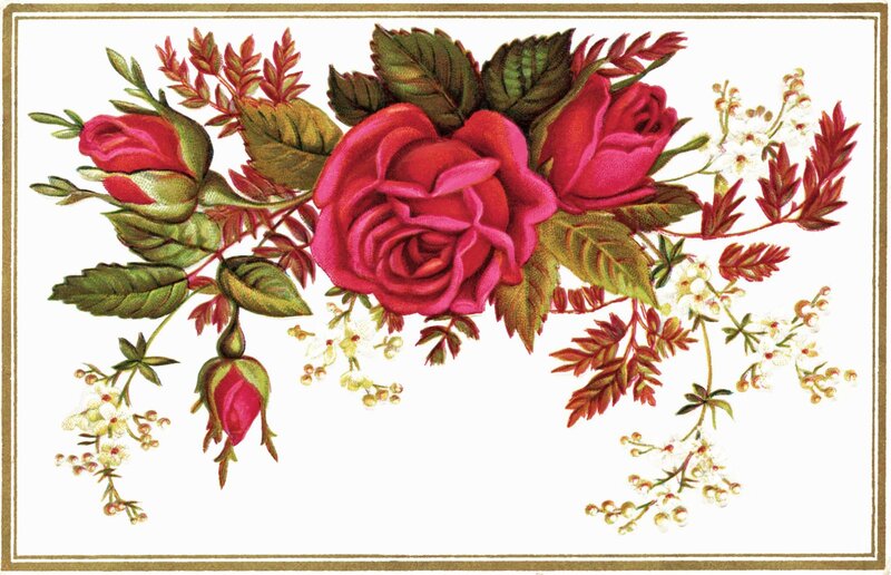 Red Roses and Green Leaves — Calm, Illustration