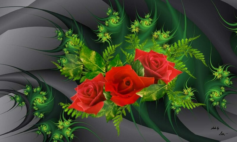 Red Roses and Green Leaves — Dramatic