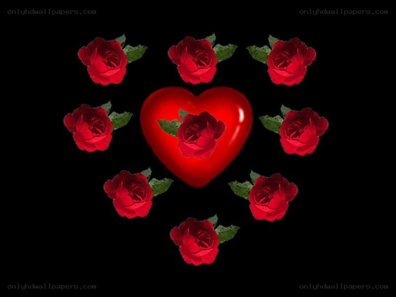 red roses and heart