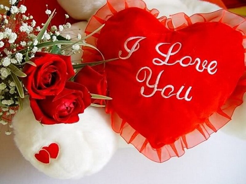Red Roses and Heart Pillow