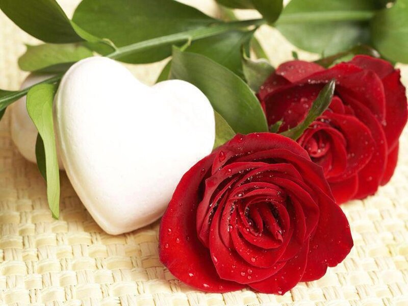 Red Roses and Heart — Romantic, Photograph