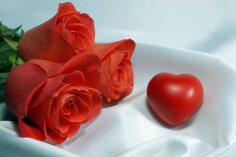 Red Roses and Heart — Serene