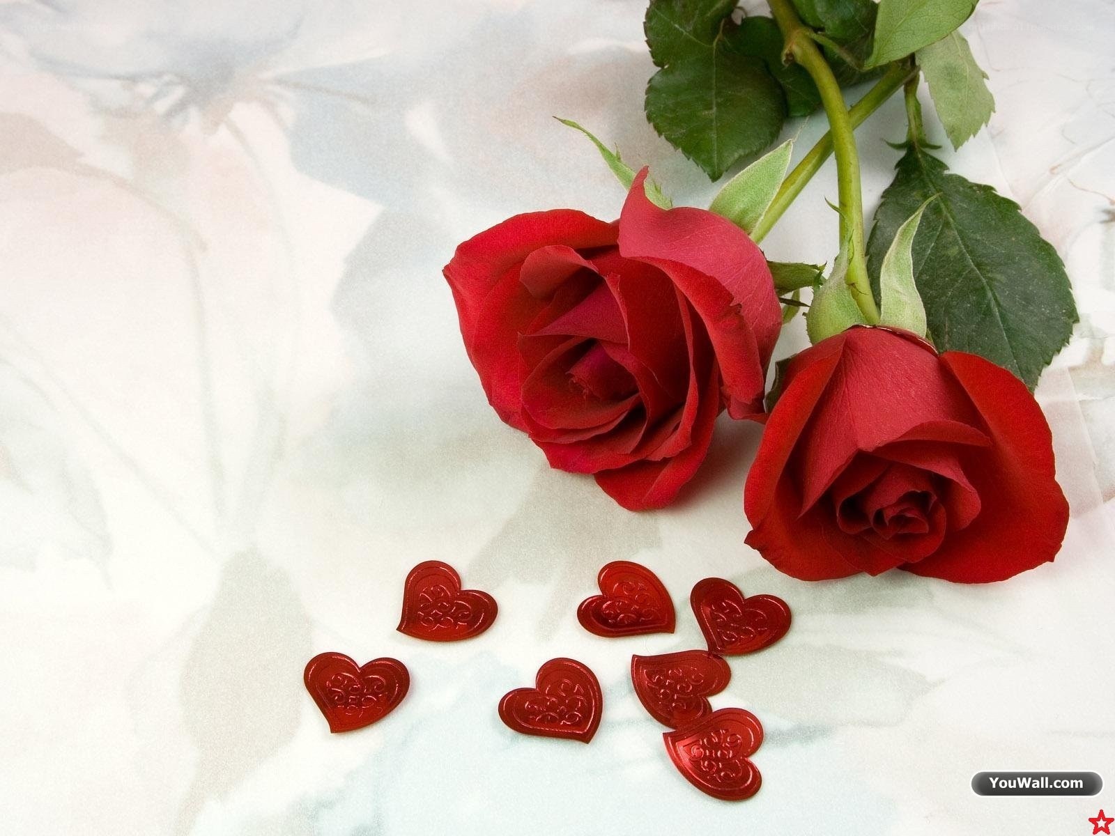 Red roses and hearts