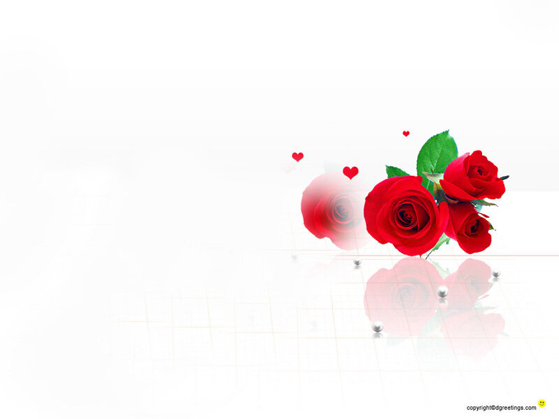 red roses and hearts
