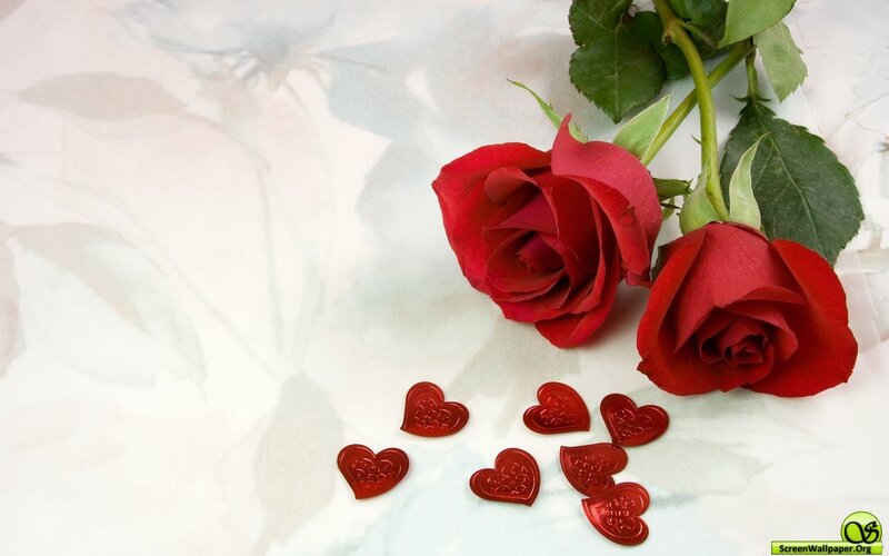 Red roses and hearts